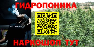 ПСИЛОЦИБИНОВЫЕ ГРИБЫ Будённовск
