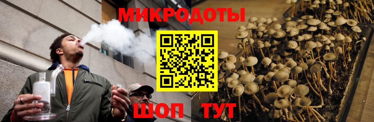 Галлюциногенные грибы Cubensis Крымск